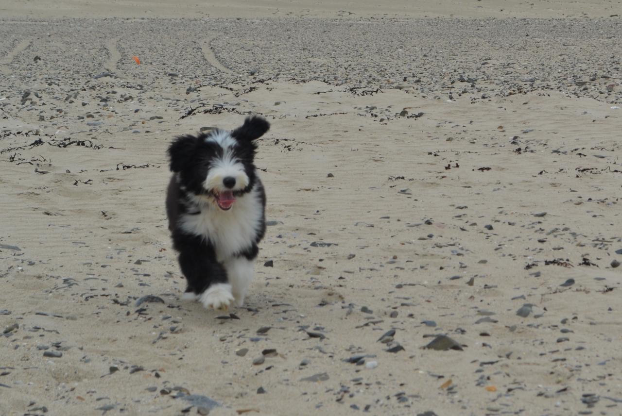 Sur la plage