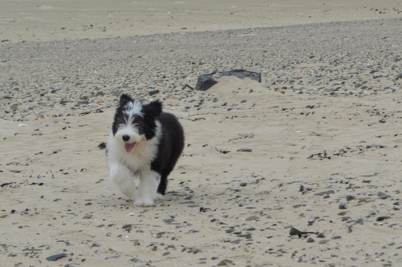 Sur la plage