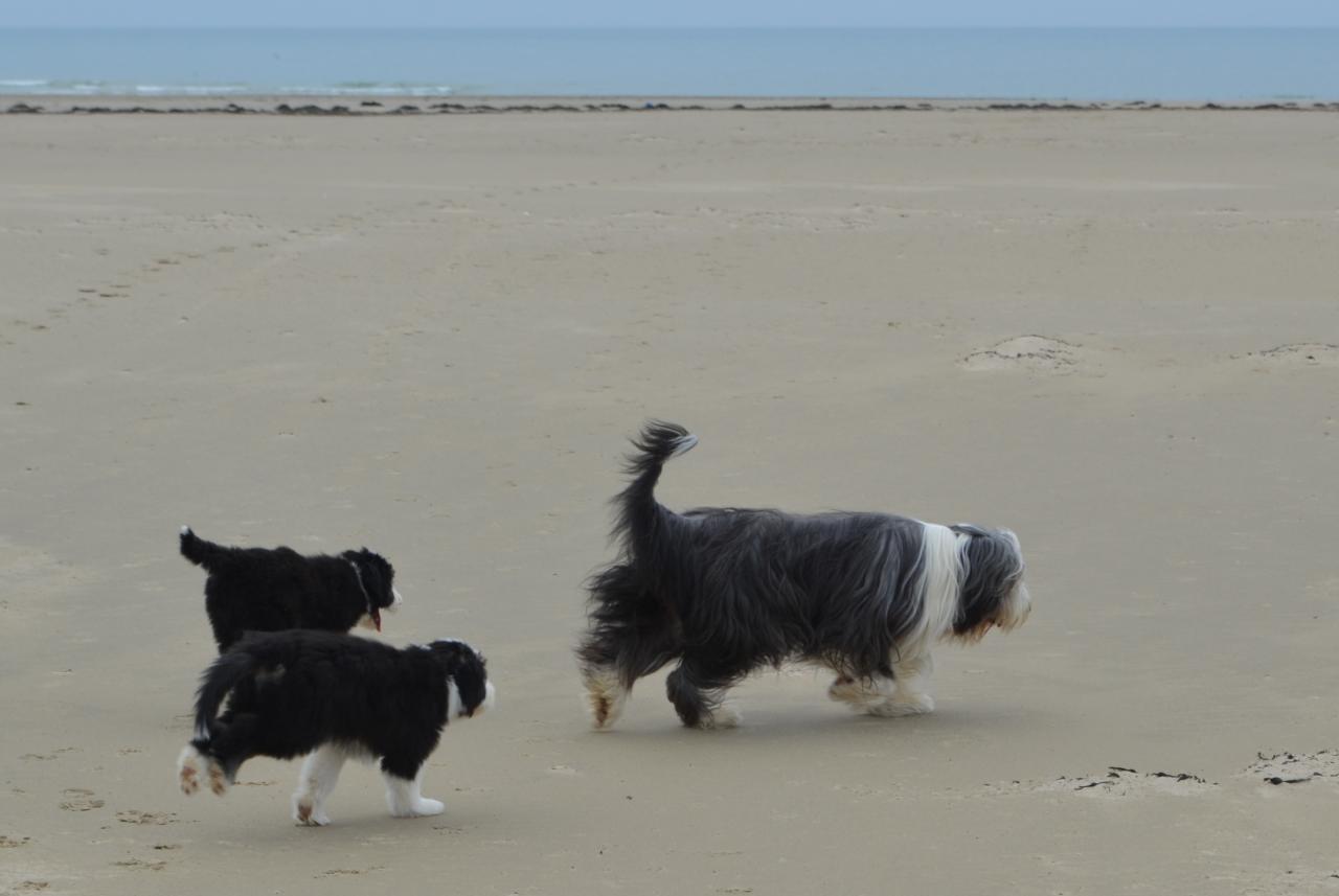 Sur la plage