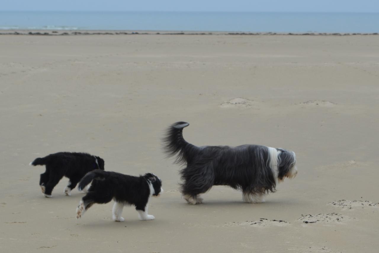 Sur la plage