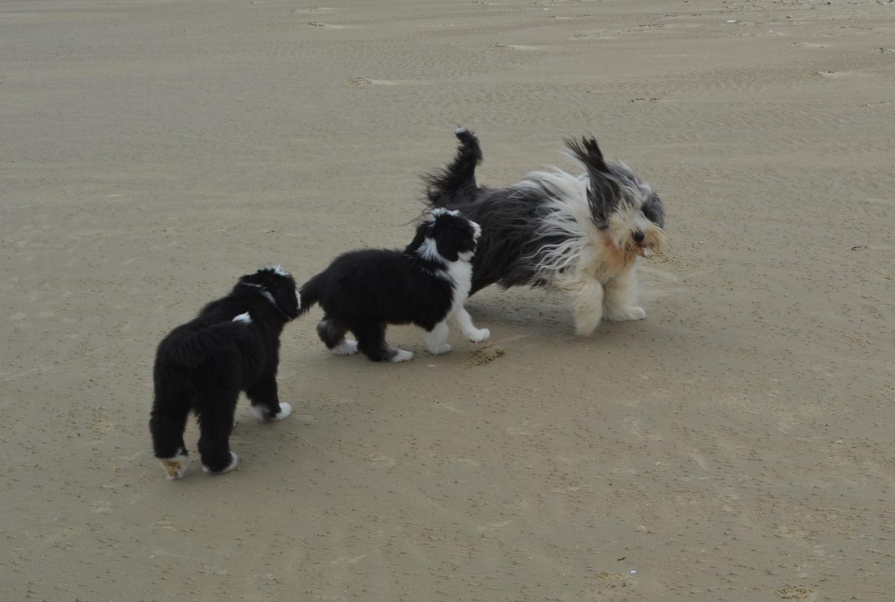 Sur la plage