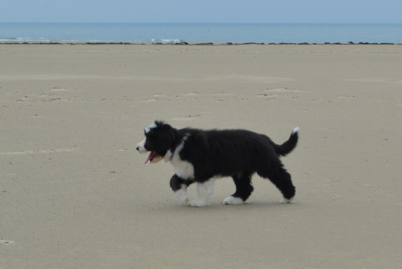 Sur la plage