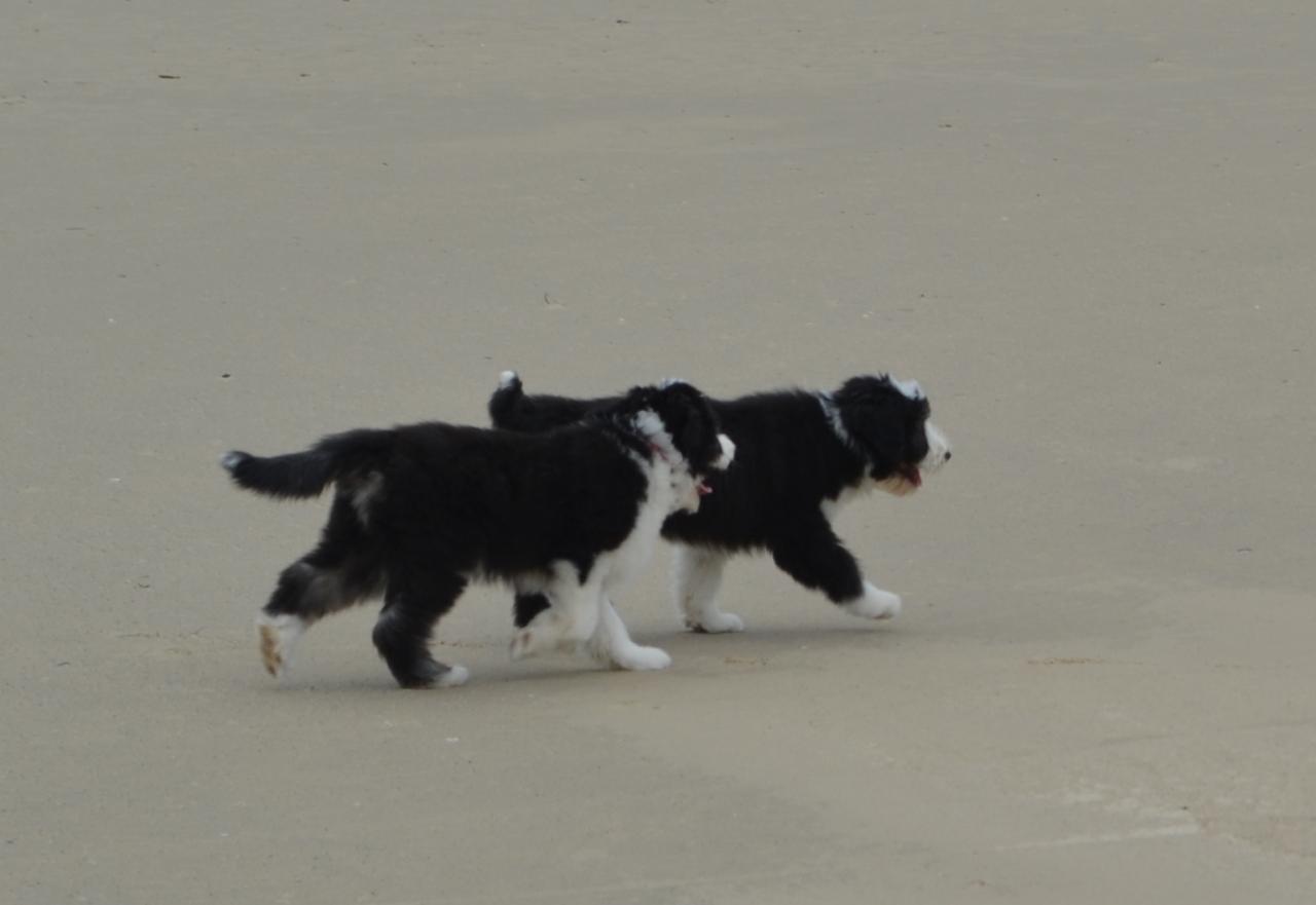 Sur la plage