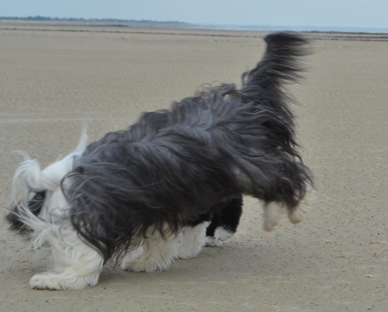 Sur la plage