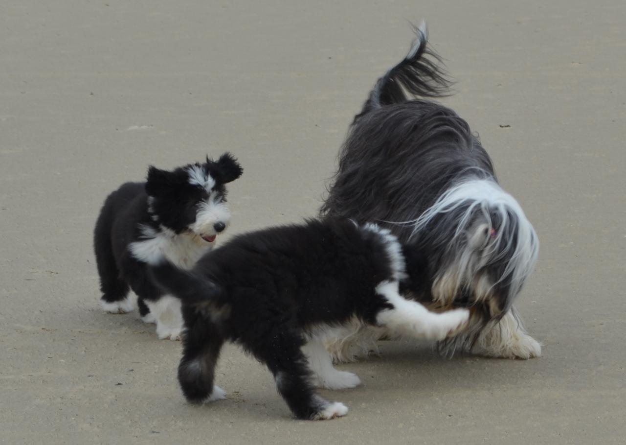 Sur la plage