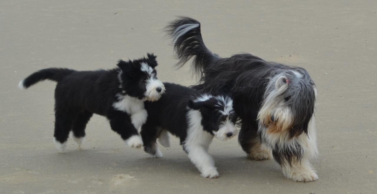 Sur la plage