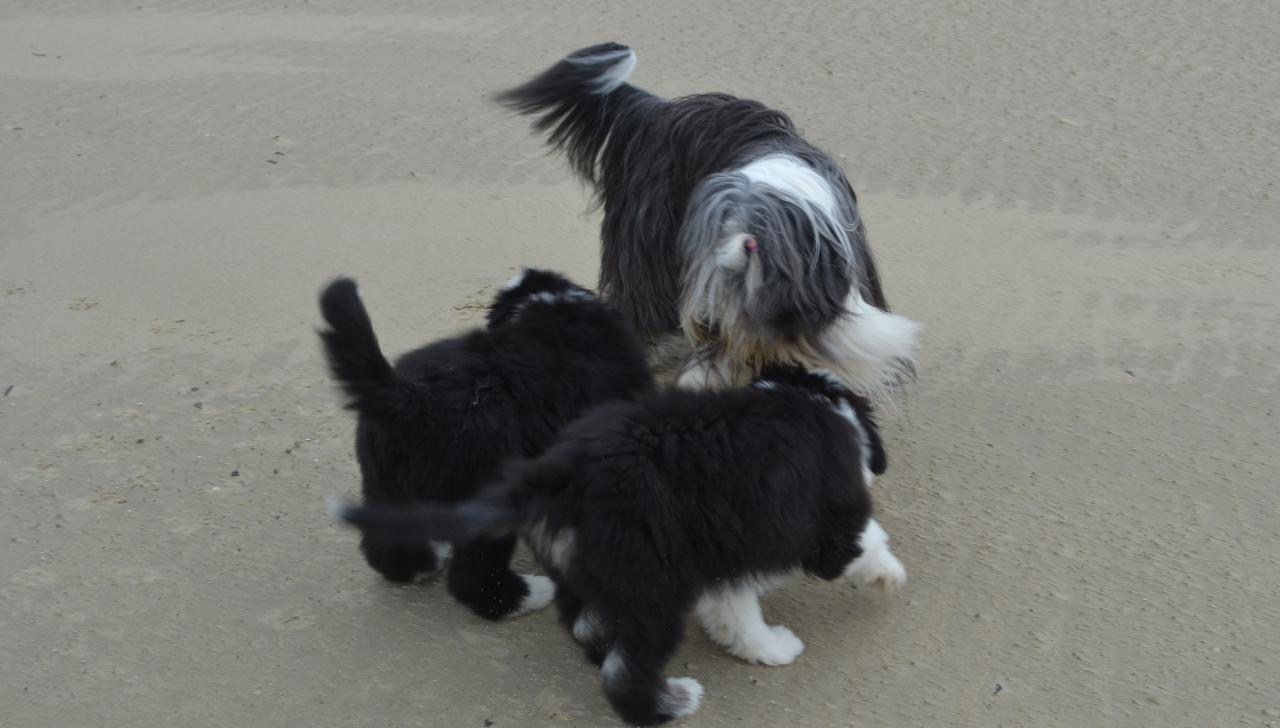 Sur la plage