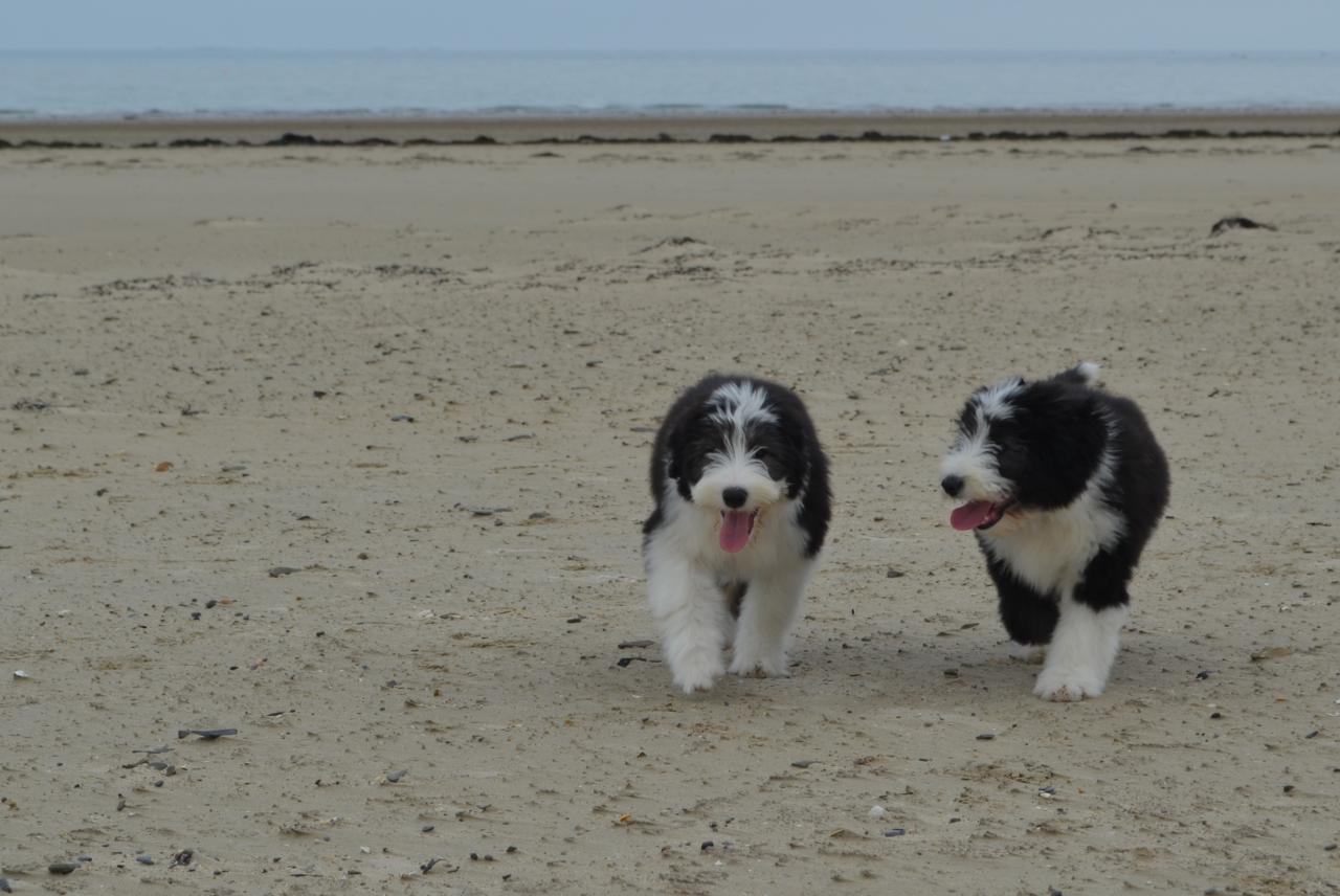 Sur la plage