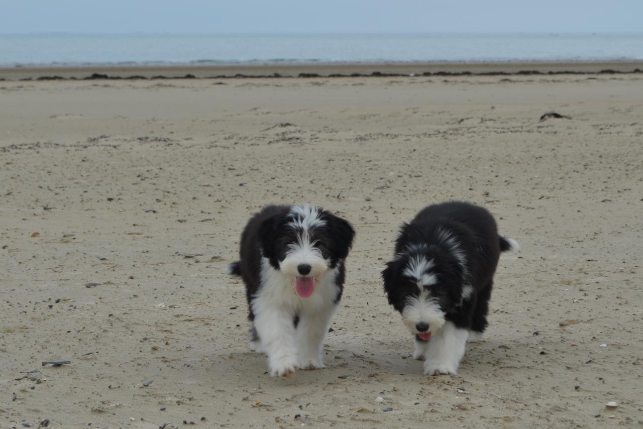 Sur la plage