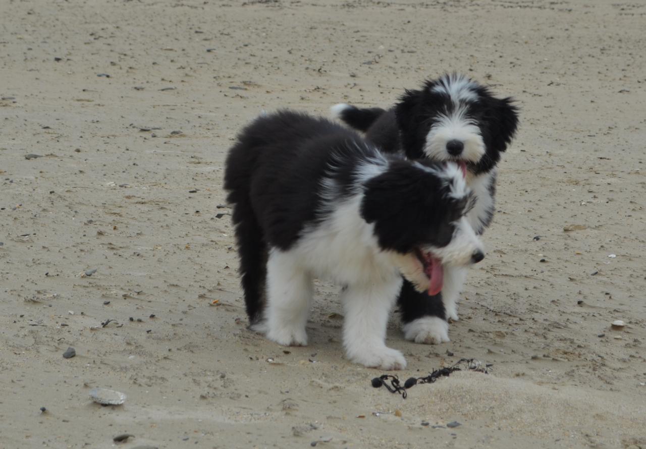 Sur la plage