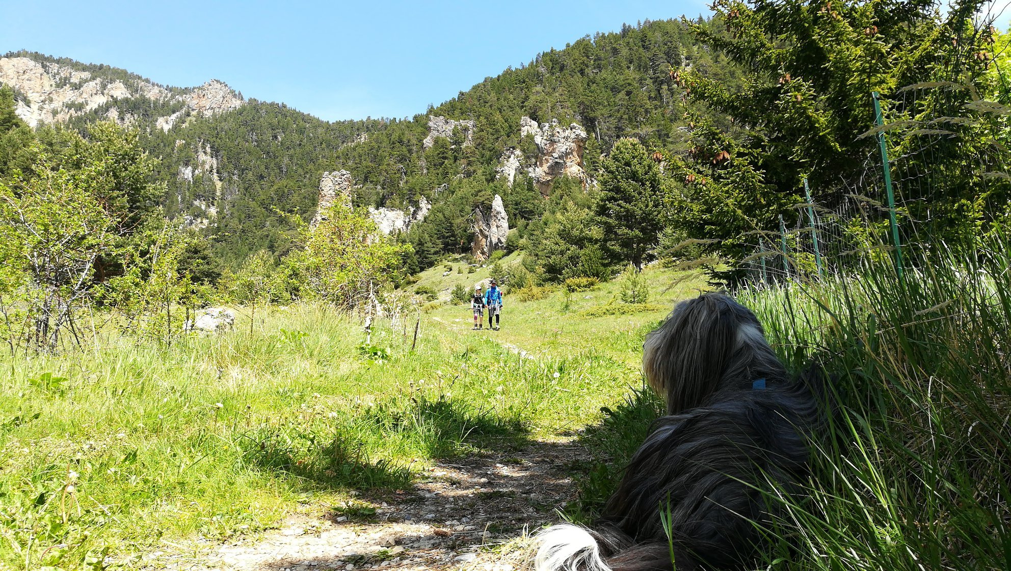 Ellie sur le Queyras