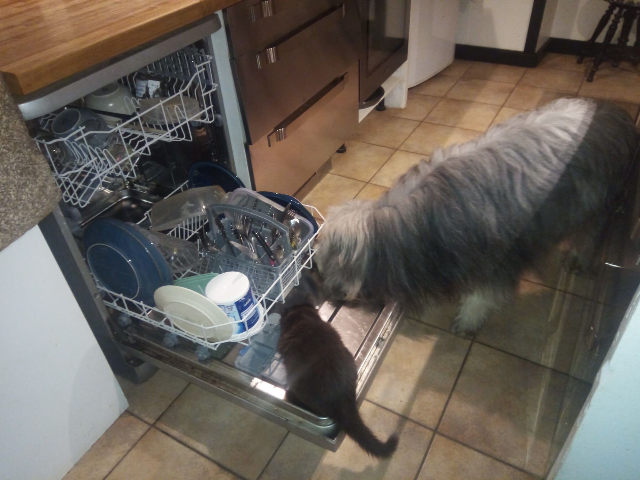 Hômère à la vaisselle!