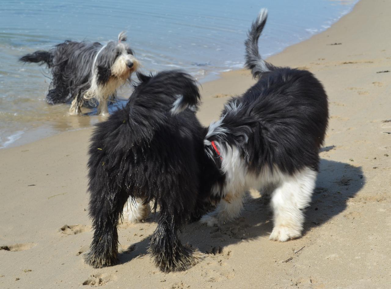 dans le sable