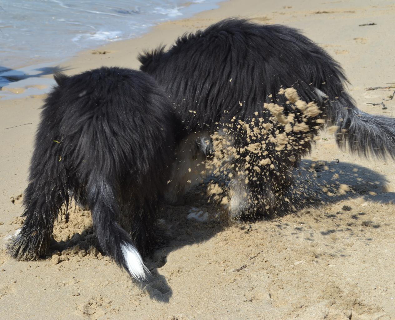 dans le sable