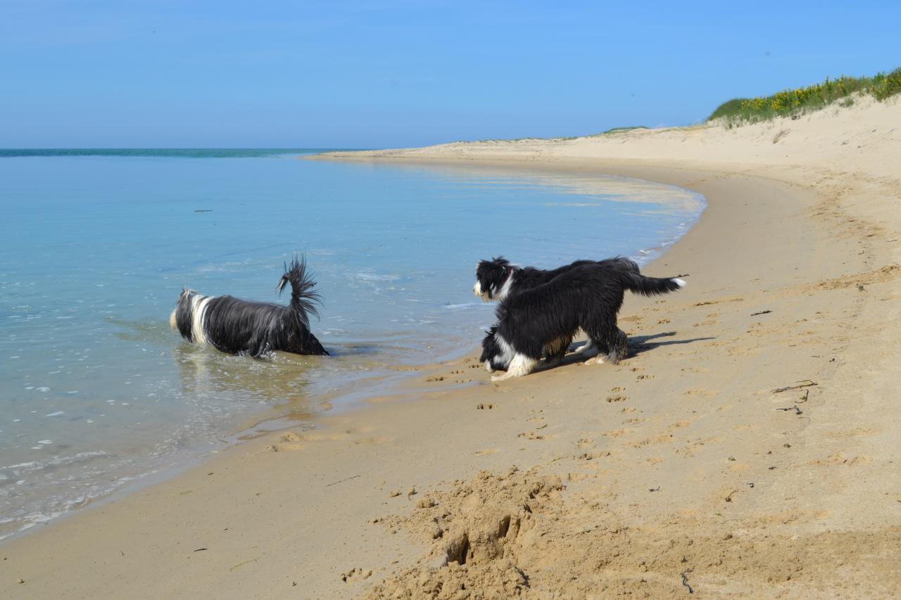 maman se baigne... pas nous!