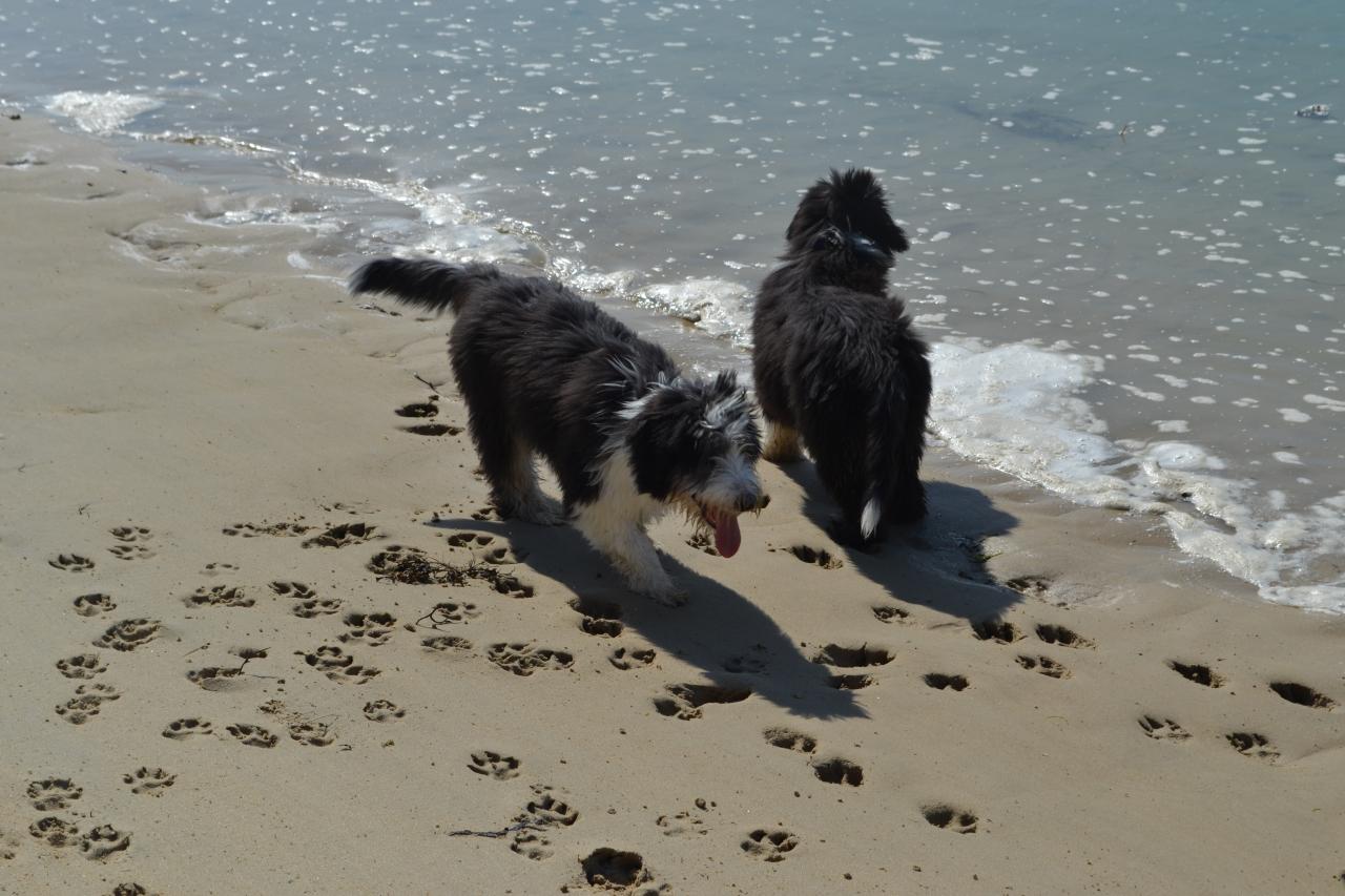 dans le sable