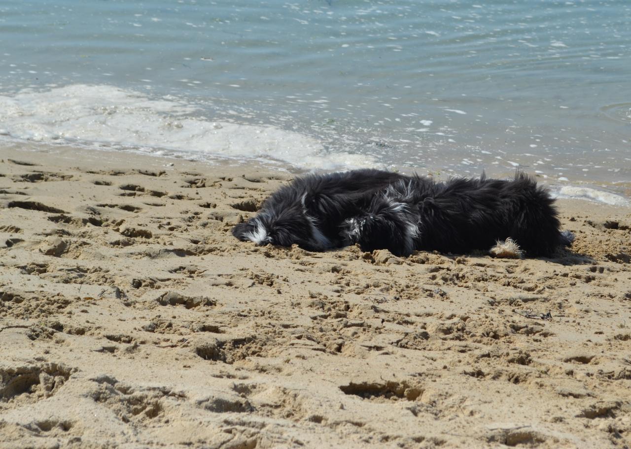 dans le sable