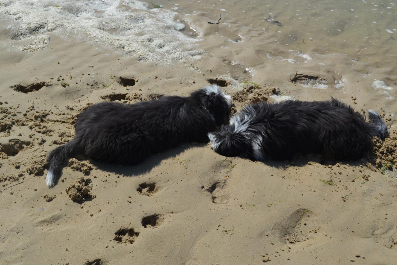 dans le sable