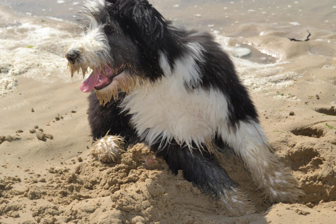 dans le sable