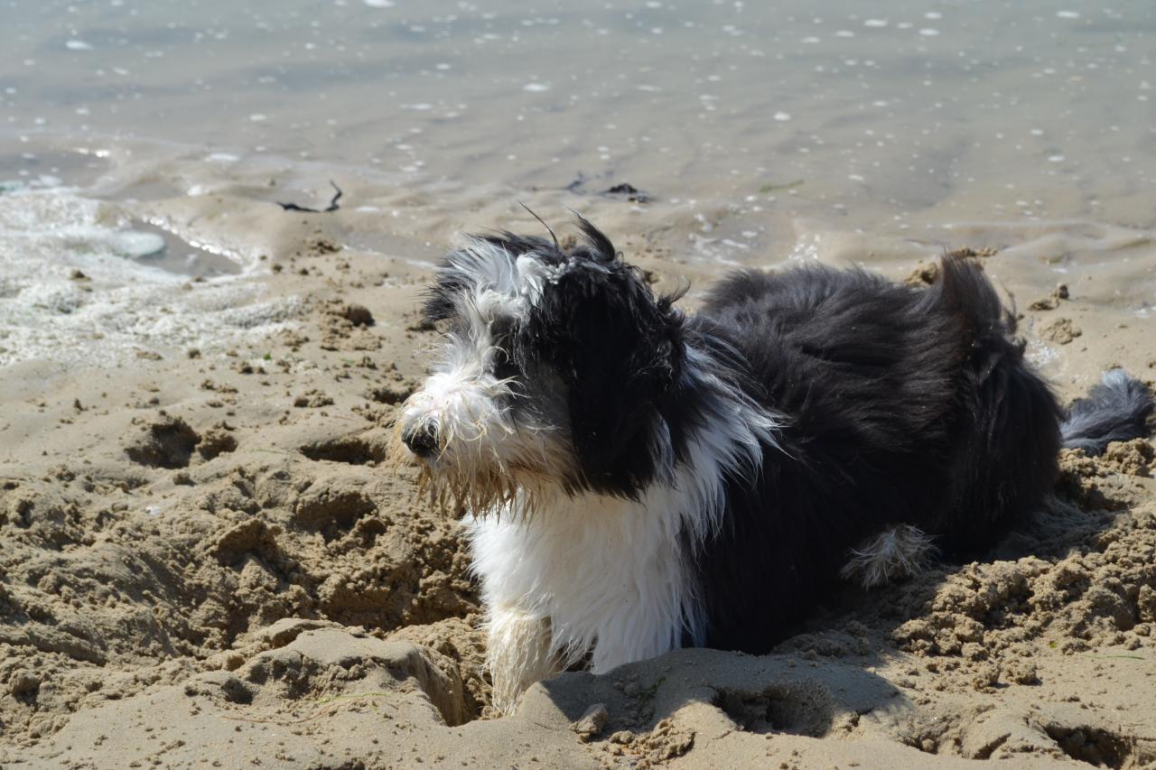 dans le sable