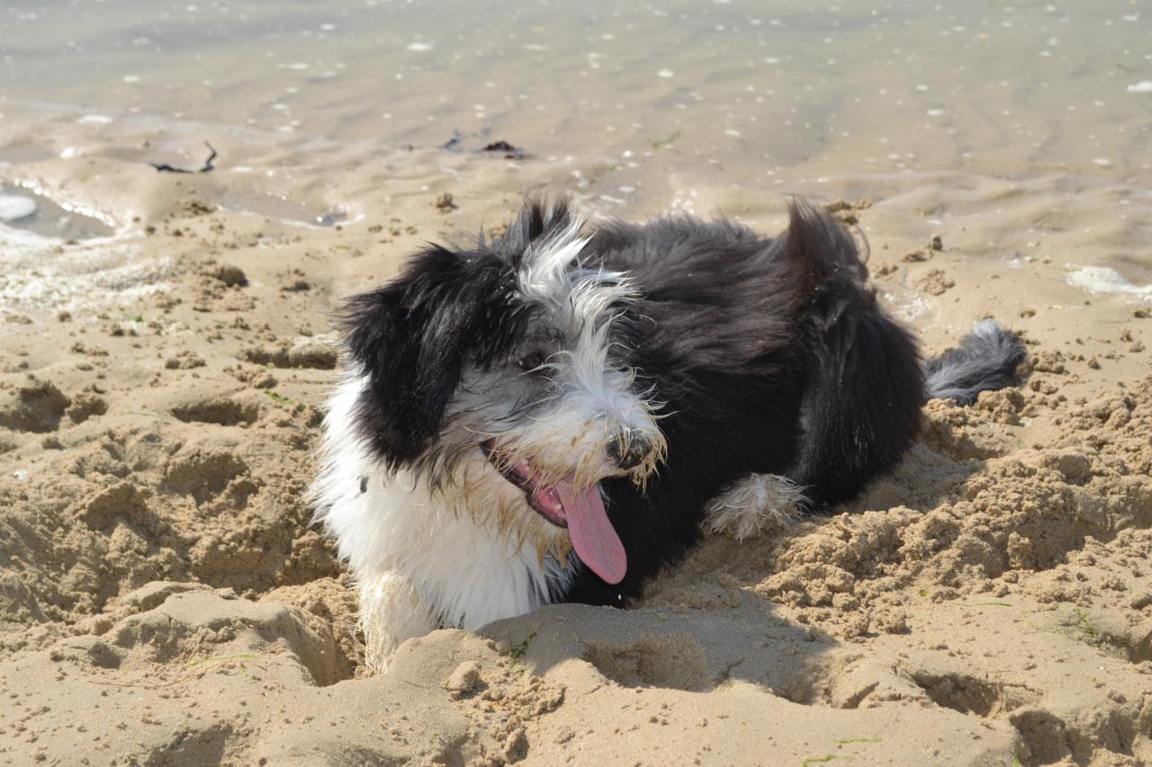 dans le sable