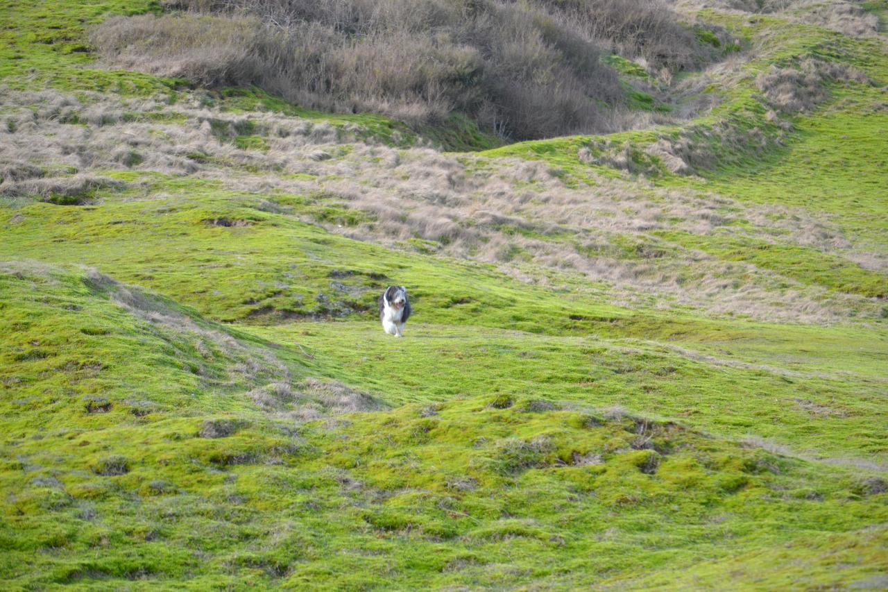 au milieu des dunes