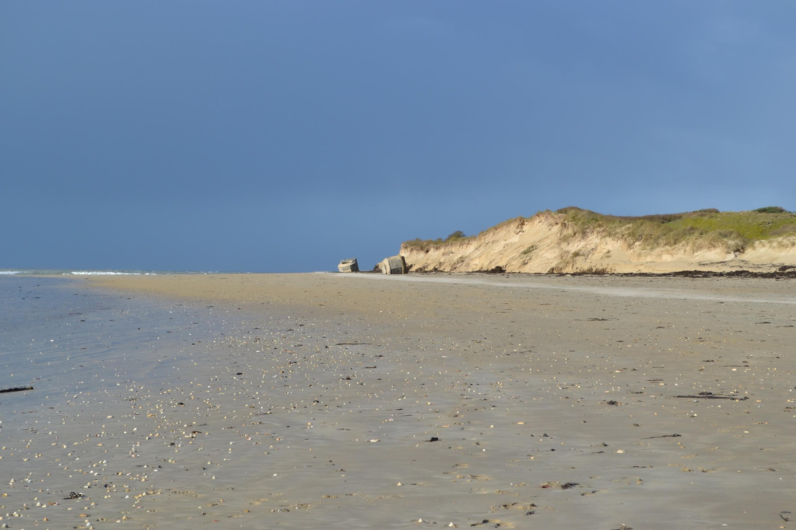 nos dunes massacrées par les tempêtes