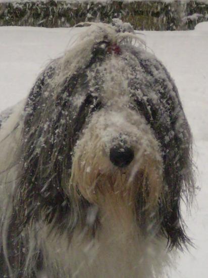 Portrait sous les flocons