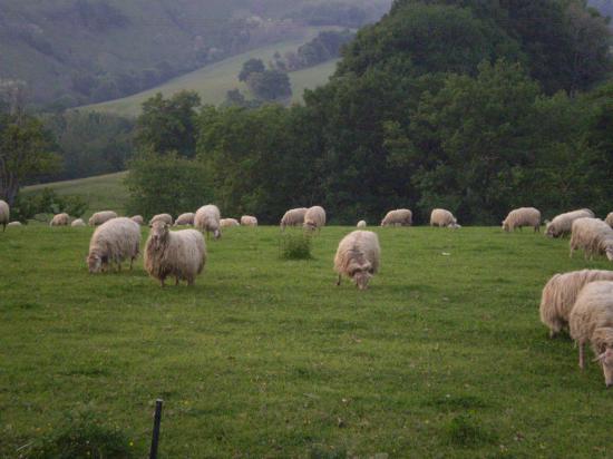 Vacances au Pays Basque