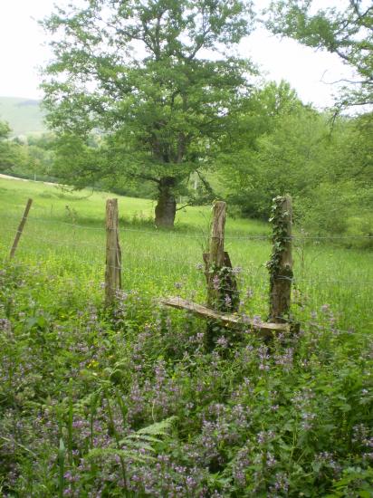 Vacances au Pays Basque