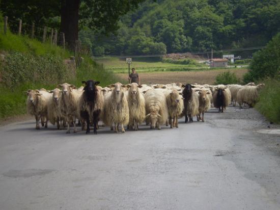 Vacances au Pays Basque