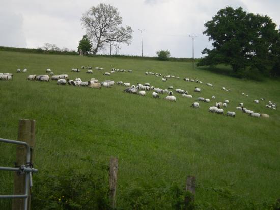 Vacances au Pays Basque