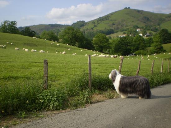 Vacances au Pays Basque