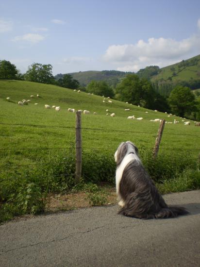 Vacances au Pays Basque