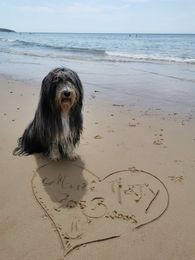 Ellie, plage du Rozel