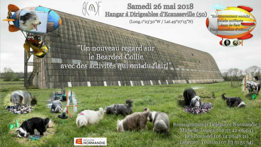 Affiche flair 2018