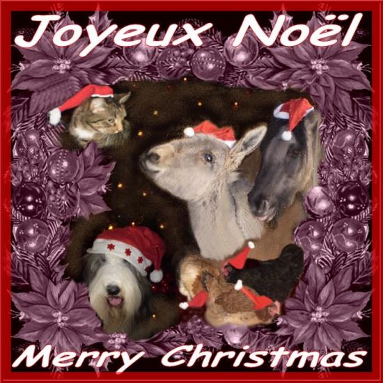 animaux-noel.jpg