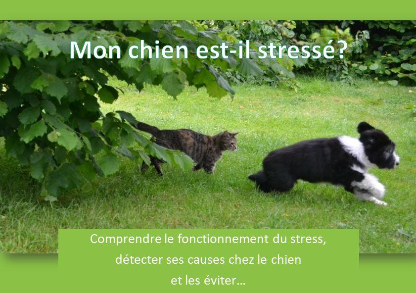 Couverture livret stress