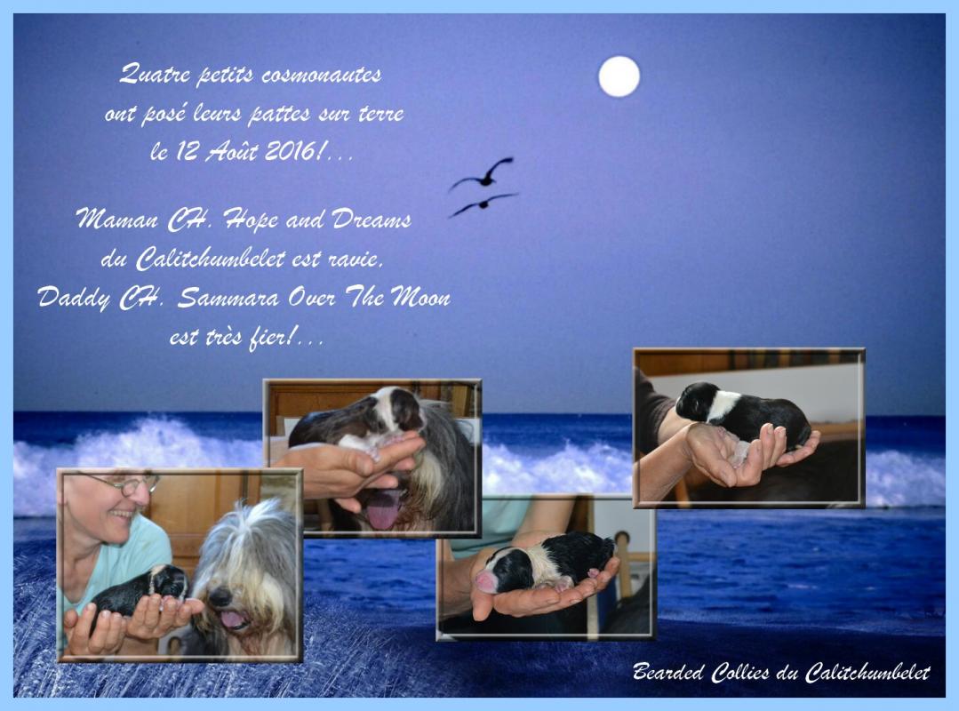 Photo lune et mer